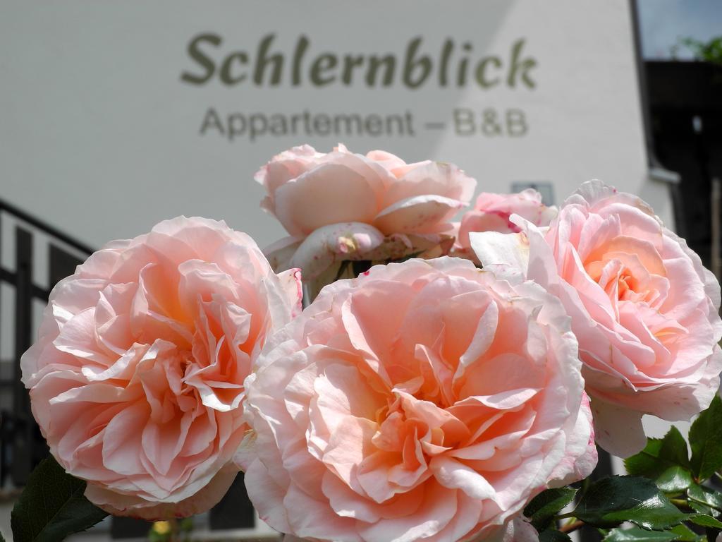 Haus Schlernblick Apartment Нова Поненте Екстериор снимка