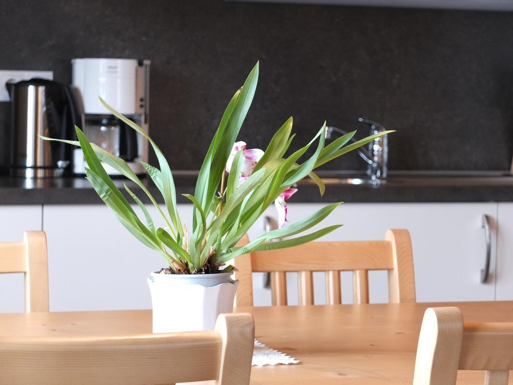 Haus Schlernblick Apartment Нова Поненте Стая снимка